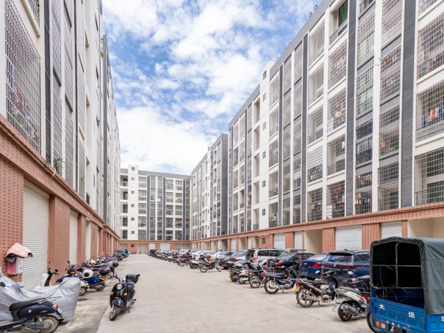 粮油领域